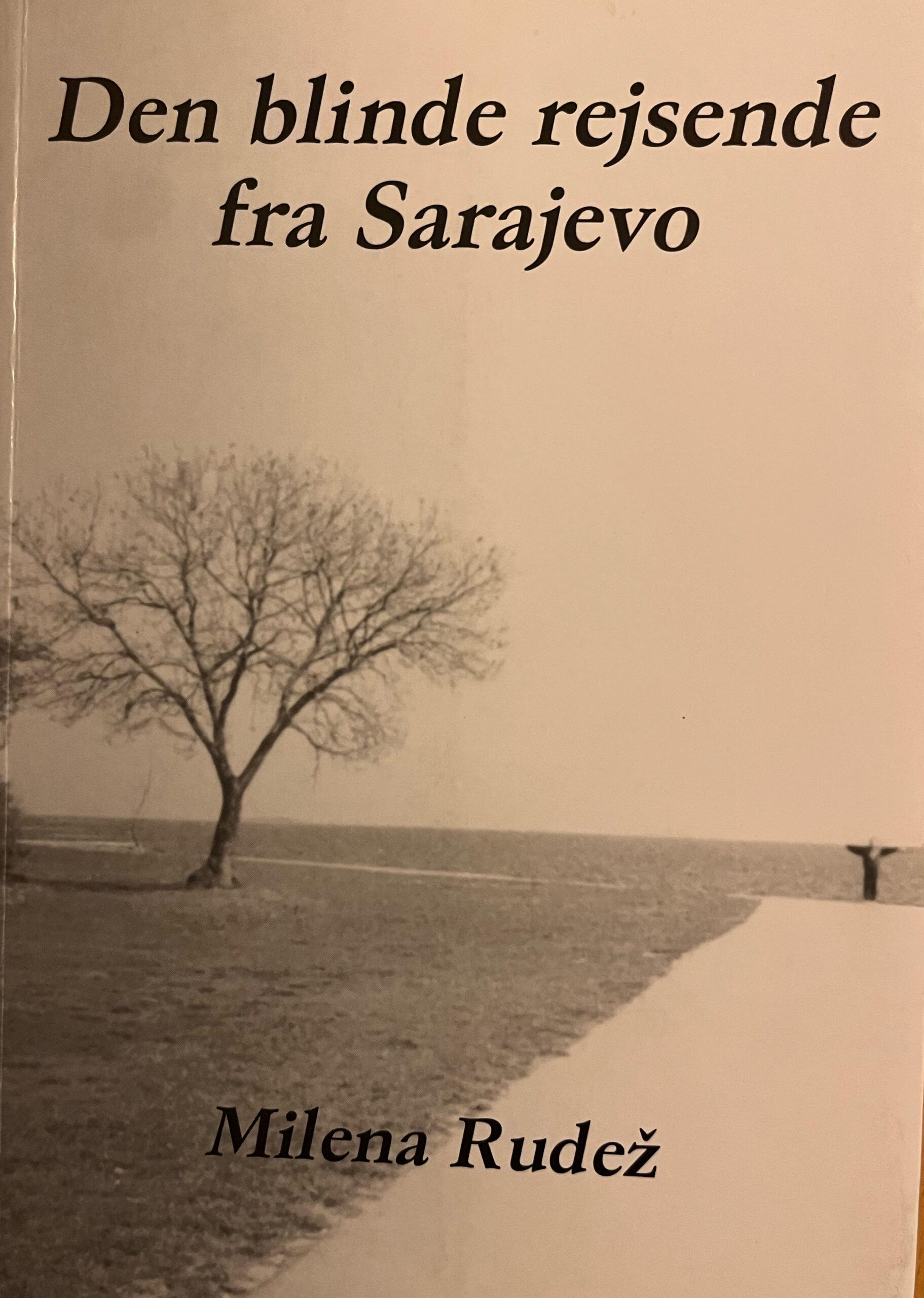 Den blinde rejsende fra Sarajevo / Slijepi putnik iz Sarajeva