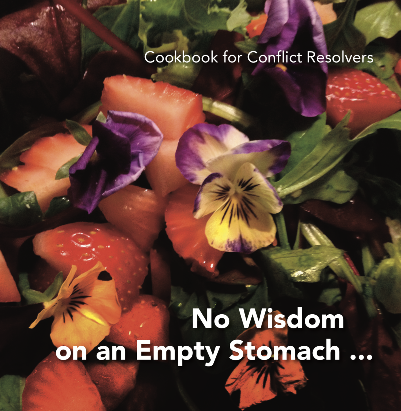 Cookbook for Conflict Resolvers 1 – No Wisdom on an Empty Stomach