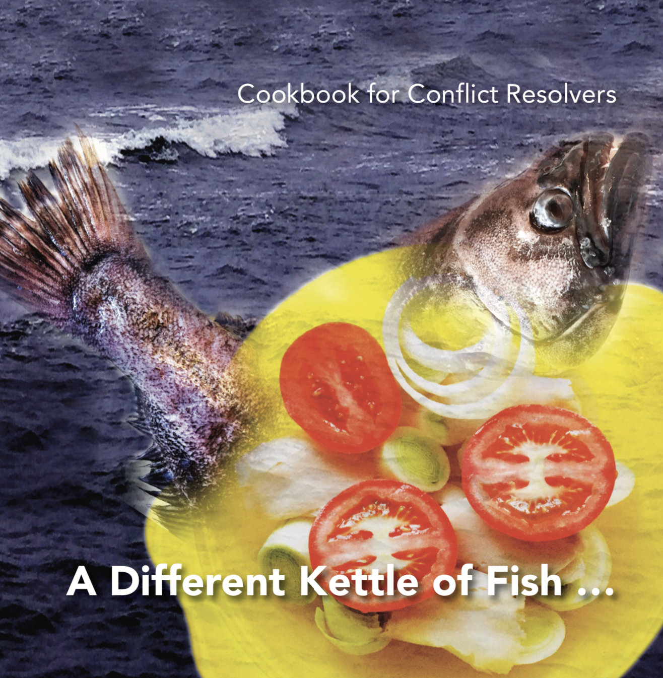 Cookbook for Conflict Resolvers 2 – A Different Kettle of Fish